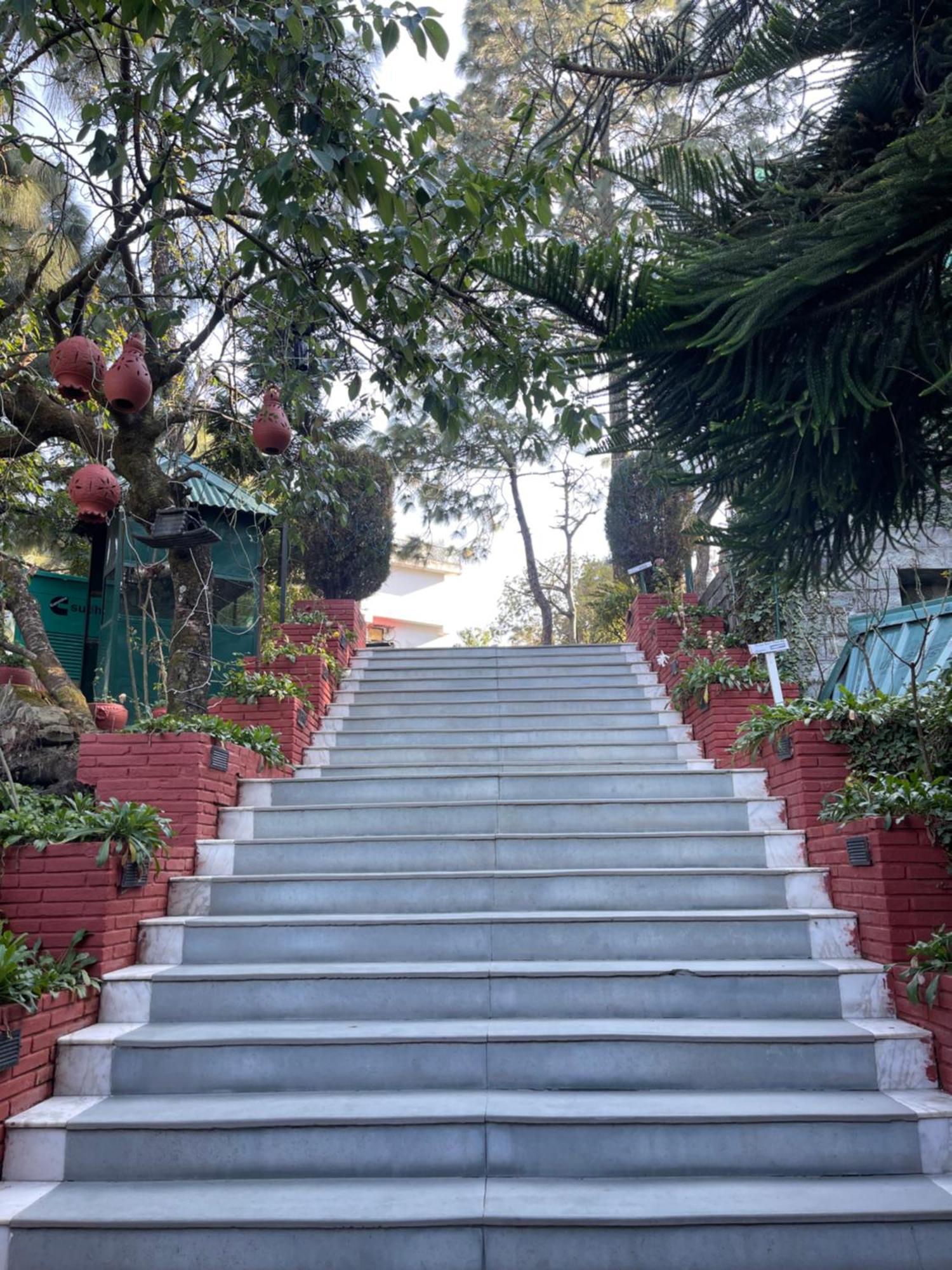 Kasauli Castle Resort Esterno foto